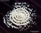Streptomyces coelicolor A3(2) colony on agar